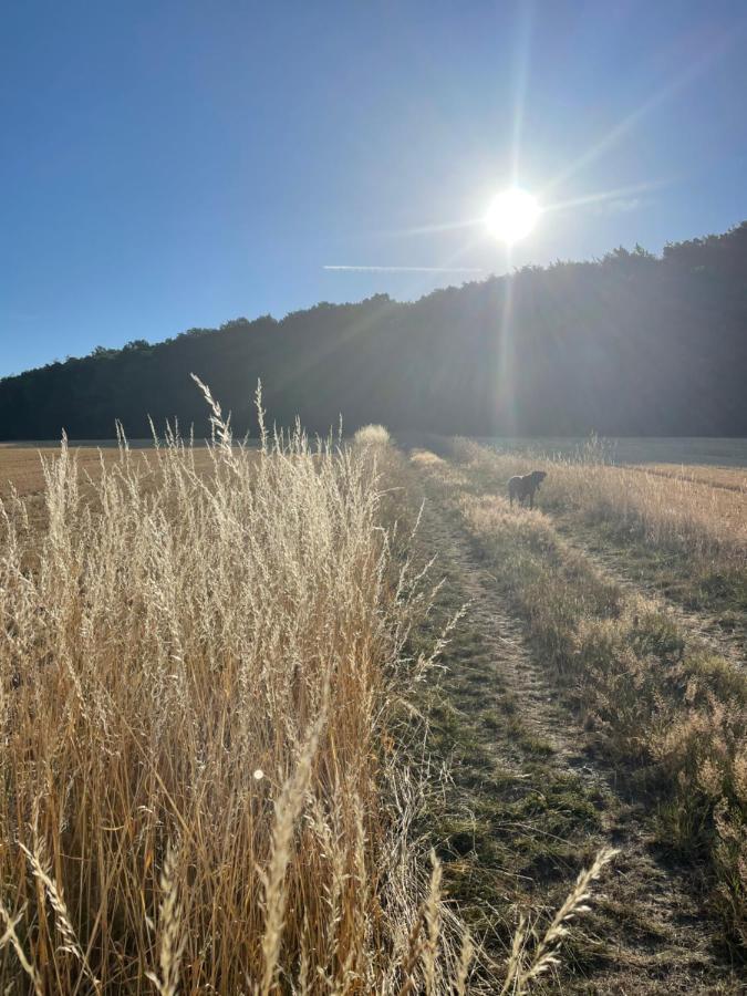 Luises Ferienglueck Daire Vernawahlshausen Dış mekan fotoğraf